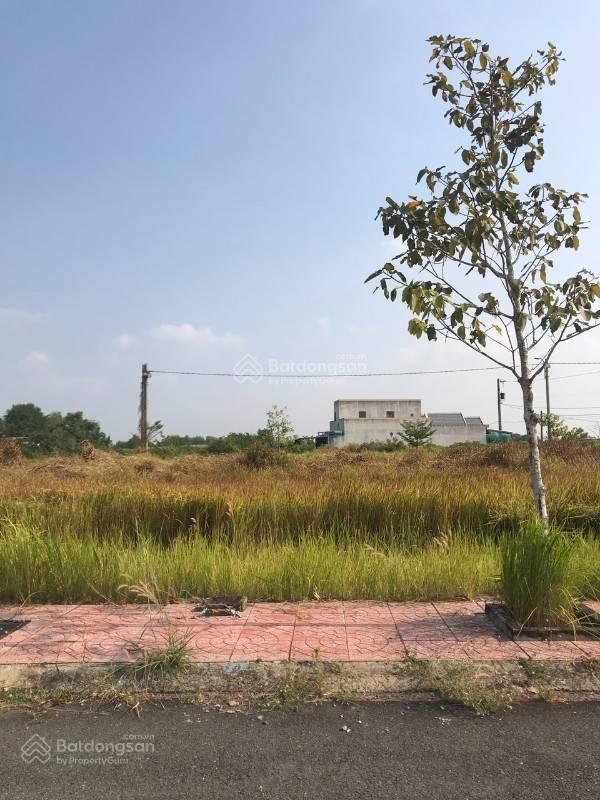 Chính chủ cần bán gấp đất nền đã có sổ hồng riêng, khu dân cư 1b thị trấn cần đước, long an