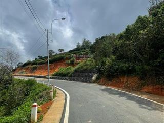 Chính chủ bán 2 lô vườn hồng sổ riêng từng lô tại xuân trường  đà lạt. giá 1,1 tỷ/lô 1000m2
