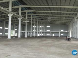 Cho thuê 2 nhà xưởng lớn 5000m2 và 10.000m2 ở an lão, trạm điện riêng, pccc tự động