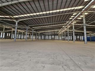 Cho thuê kho xưởng kcn cần đước, long an diện tích 2.500m2  5.000m2  10.000m2, pccc tự động