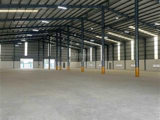 Cho thuê nhà xưởng mới xây diện tích 3500 m2 trong kcn tân quy, củ chi, tp. hcm