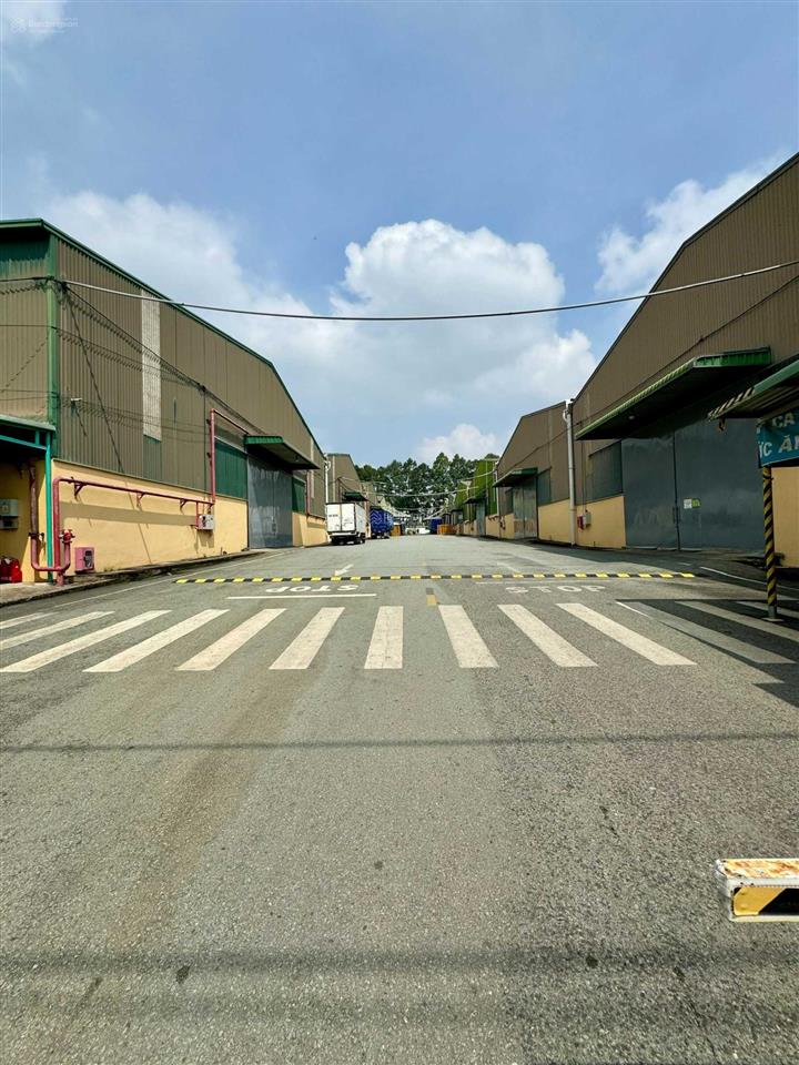 Strans cho thuê kho 1000m2 chuyên dụng có dock chứa hàng bách hóa nằm ngay kcn biên hòa 2