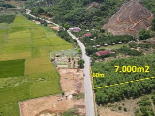 bán 7.000m2 Cây Lâu Năm quy hoạch full thổ cư xã Khánh Phú, Khánh Vĩnh