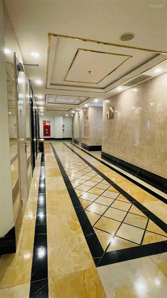 Bán penthouse thông tầng 450m tòa d'. le pont dor 34 hoàng cầu