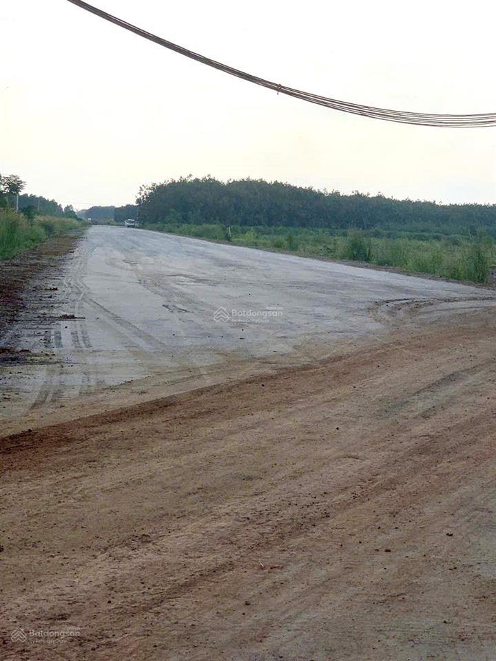 Chính chủ cần bán đất mặt tiền cây trường ii ngay hồ chí minh vào 50m giá chỉ 1tr/m2