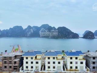 Hot! safa bay cẩm phả giá chỉ từ 3xtr/m2, lô view biển hàng ngoại giao giá tốt nhất thị trường