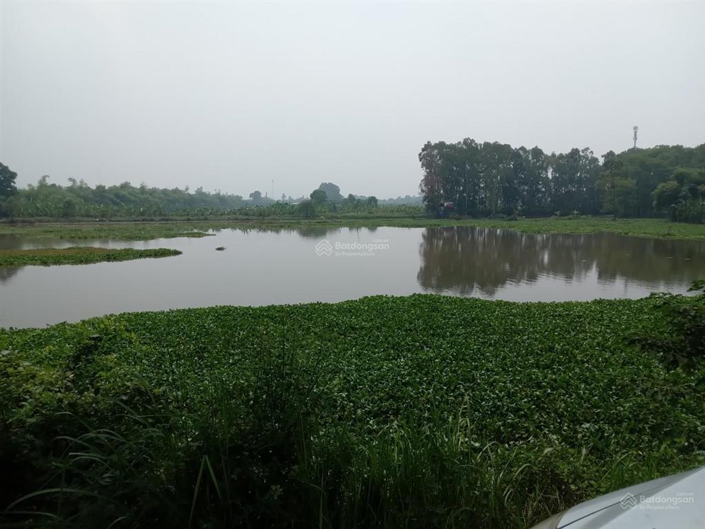 Cần bán mảnh đất 10.000m2 thổ cư và trồng cây lâu năm giá 7.2 tỷ có thương lượng tại tân yên bg