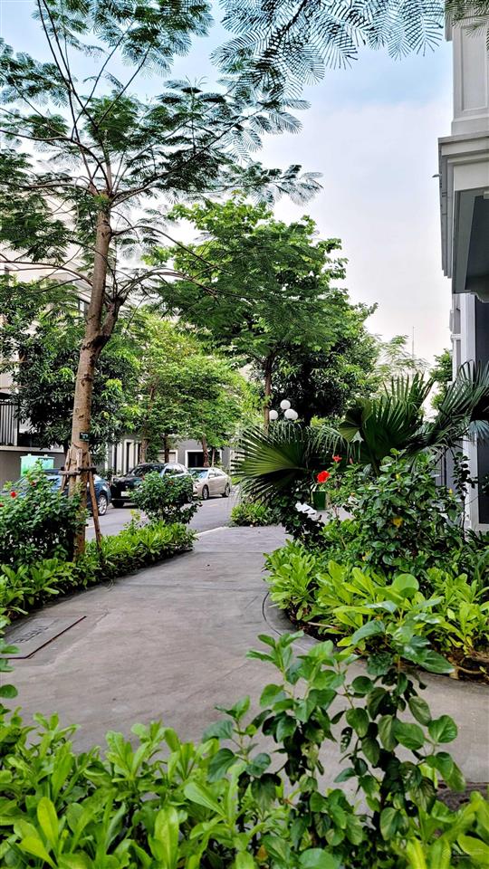 Bán nhanh lk grandbay townhouse hướng đông nam trung tâm bãi cháy