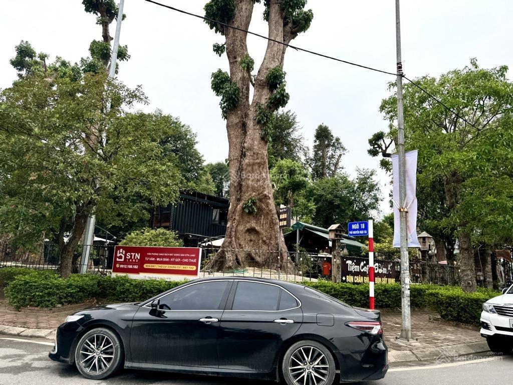 Hiếmđất phân lô 31ha trâu quỳ. mt khủng, vỉa hè, xây biệt phủ, tiện ích, trung tâm, hồ và vườn hoa