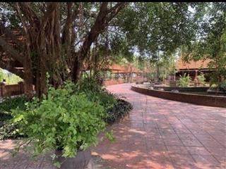 Cho thuê resort nhà hàng sân vườn view trực diện sông thoáng mát