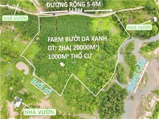 Cần bán 20.000m2 đất có 1000m2 đất ont  xã sông cầu  giá tốt  tặng vườn bưởi