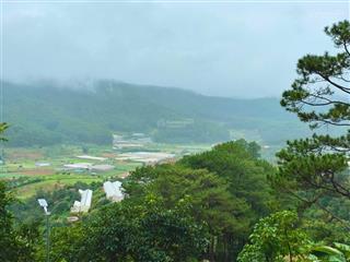Cho thuê 1 hecta (10.000m2) đất view đẹp phường 10, đà lạt