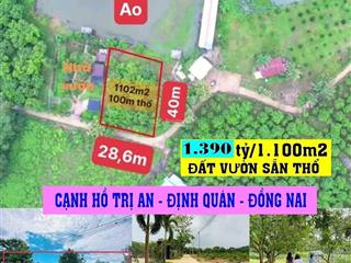 Kẹt ngân hàng bán gấp 1,390 tỷ/1.100m2 tại đường 101, quốc lộ 20, xã la ngà, ngay ubnd xã la ngà