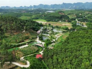 Cần chuyển nhượng 7,6 ha đất nghỉ dưỡng tại thị trấn ba đồi, lạc thủy, hòa bình