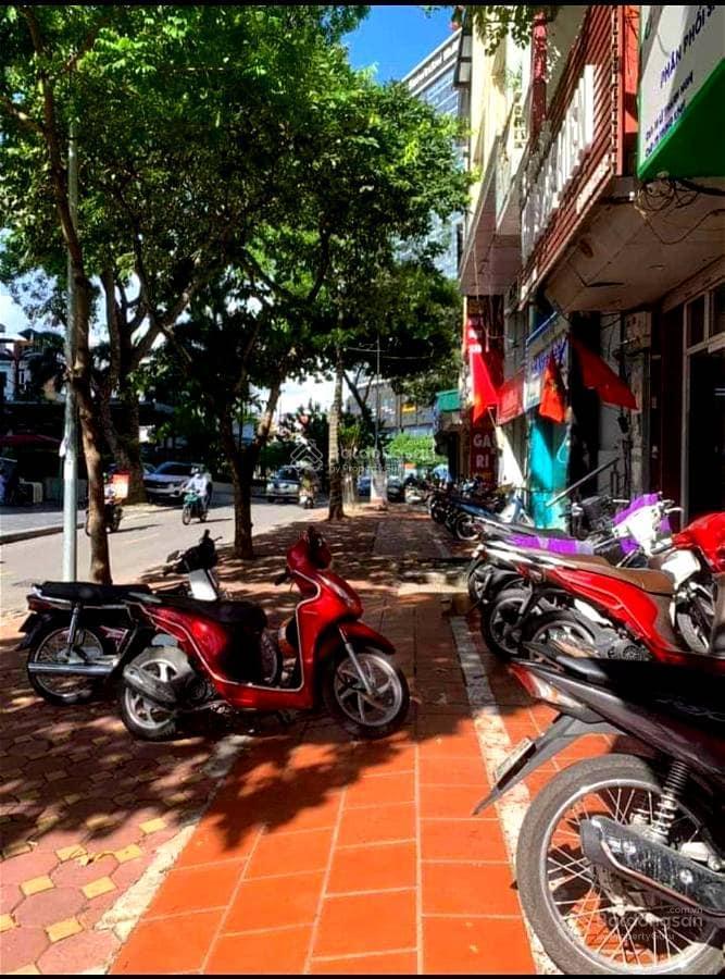 Chính chủ bán nhà lô 20 kđt định công nội thất 100% lim nghệ an móng ép cọc 24m 160m2, 48,2 tỷ