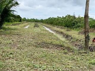 Bán 4,5 công đất cách ubnd xã tân phú thạnh 1km lộ xe tải nhỏ tới đất, không quy hoạch