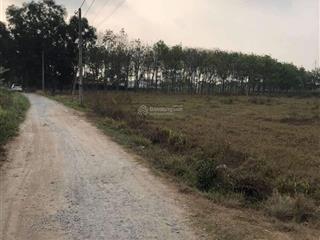 Bán đất vườn (2853m2), gần tl8, hoà phú, củ chi, tphcm