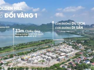 Bán biệt thự view 600ha hồ tam chúc 180m2x mặt tiền 10m flamingo golden hill hà nam kinh doanh luôn