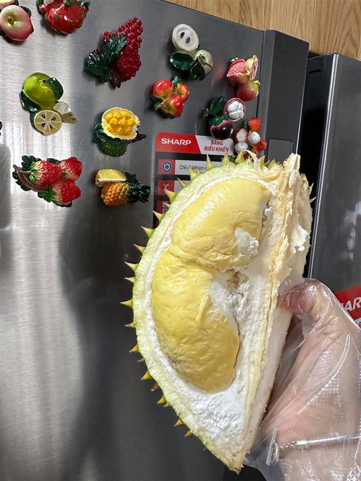 Chính chủ bán vườn sầu riêng, diện tích 6,5 hecta