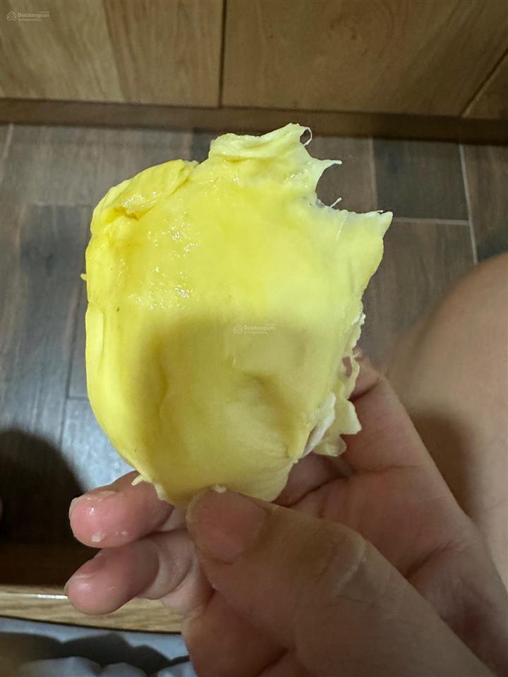 Chính chủ bán vườn sầu riêng, diện tích 6,5 hecta