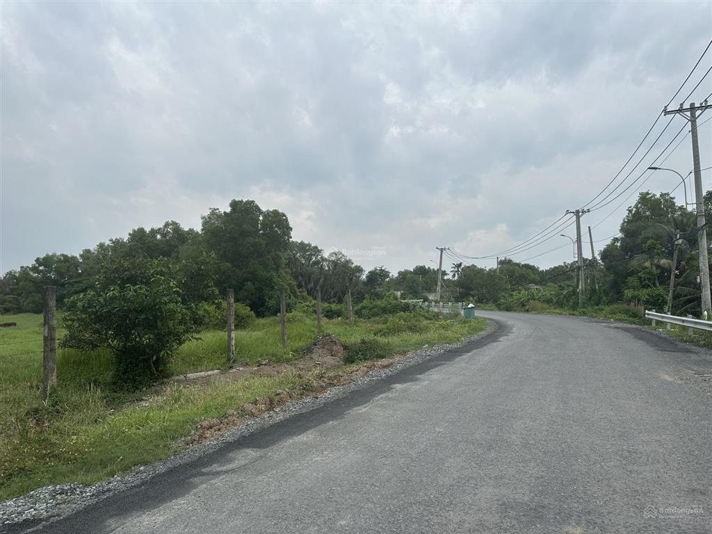 Bán đất 1,5ha mặt tiền đường hưng long quy đức
