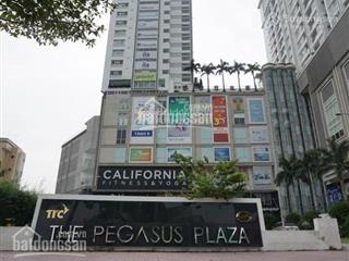Bán căn góc penthouse dự án pegasus plaza biên hoà. diện tích 507.61m2. giá 33tr/m2  chính chủ