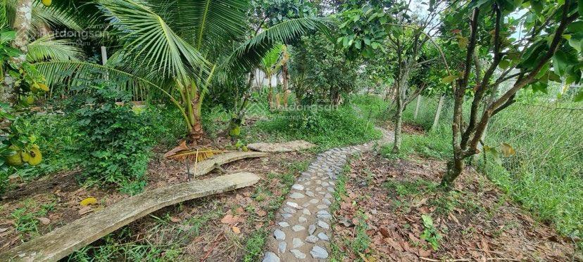 Bán đất 1.000 m2 đường trương vĩnh nguyên tiện xây biệt thự