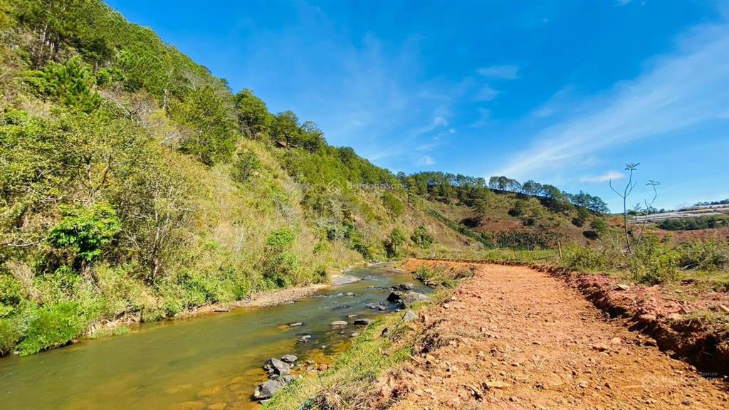 Đất vườn nghỉ dưỡng liền kề khu du lịch đà lạt (lạc dương đa nghịt) view suối quanh đất (1000m2)