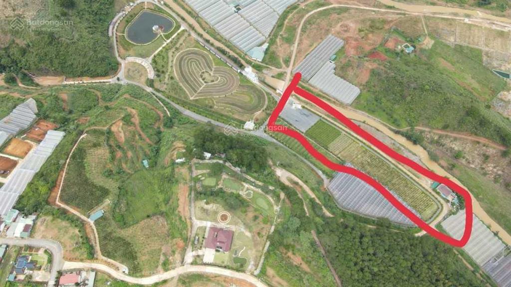 Đất vườn nghỉ dưỡng liền kề khu du lịch đà lạt (lạc dương đa nghịt) view suối quanh đất (1000m2)