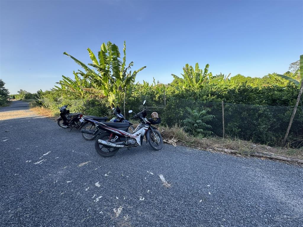 Chính chủ cần bán đất mt đường nhựa bờ sông hậu 50m, xã hòa tân, huyện cầu kè, trà vinh