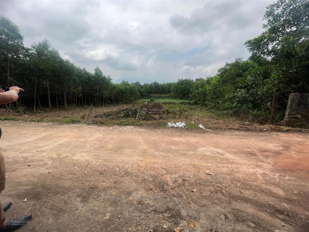 Đất nhà vườn hòa ninh 900m2 có 180m2 đất ở ngang 18m giá chỉ 6,5 tỷ.  0905 556 ***