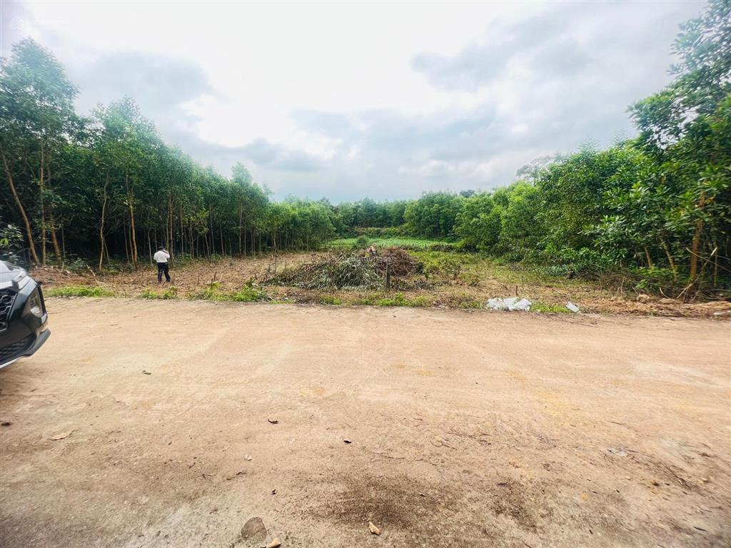 Đất nhà vườn hòa ninh 900m2 có 180m2 đất ở ngang 18m giá chỉ 6,5 tỷ.  0905 556 ***