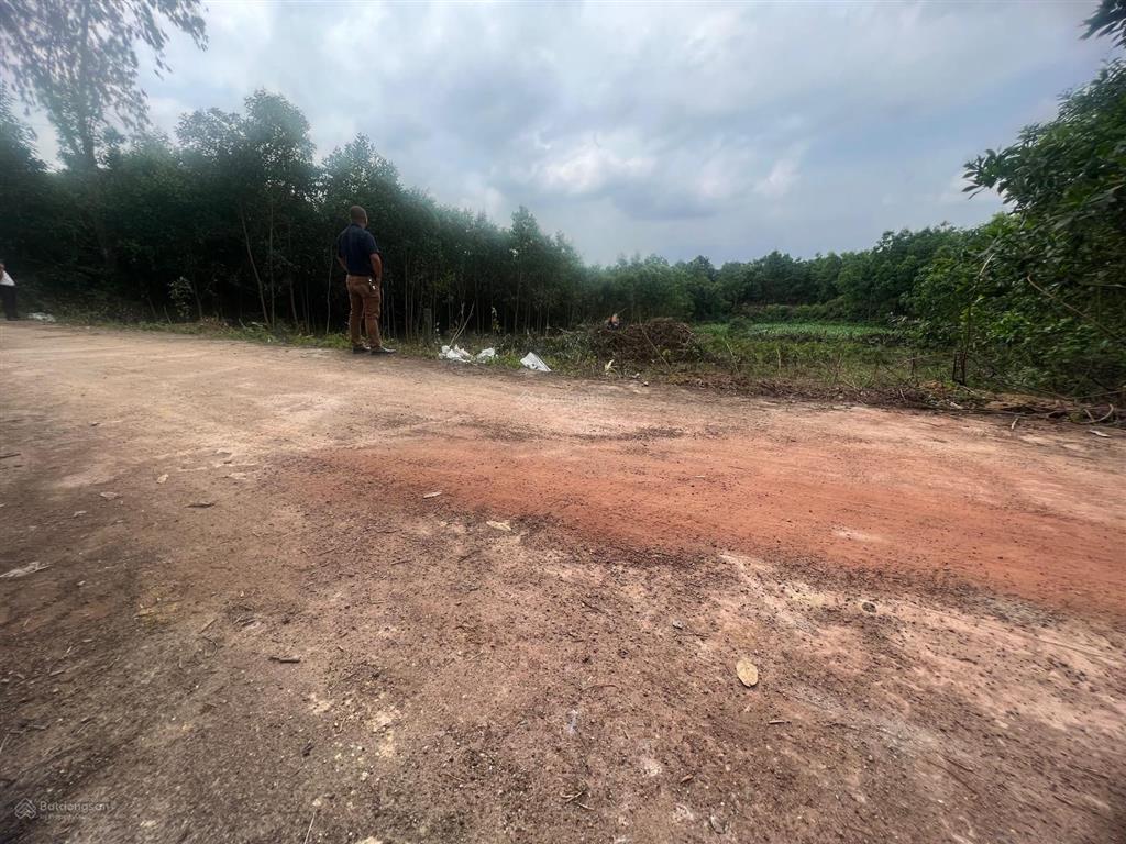 Đất nhà vườn hòa ninh 900m2 có 180m2 đất ở ngang 18m giá chỉ 6,5 tỷ.  0905 556 ***