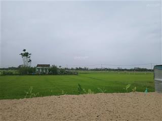 Đất an mỹ view lúa trực diện 200m2 thích hợp làm villa, homestay nghỉ dưỡng cần bán