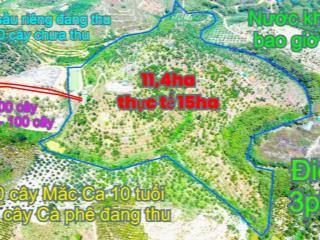 11,4ha,1200 cây Sầu Riêng,800 Mắc Ca thu 100 tấn ,giá ngộp tắc thở tại tỉnh Đắk Nông