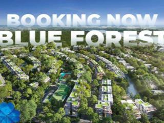 Eco village blue forest nhà giữa blue zones, vốn 3 tỷ, bank hỗ trợ 70%.  0907 582 ***