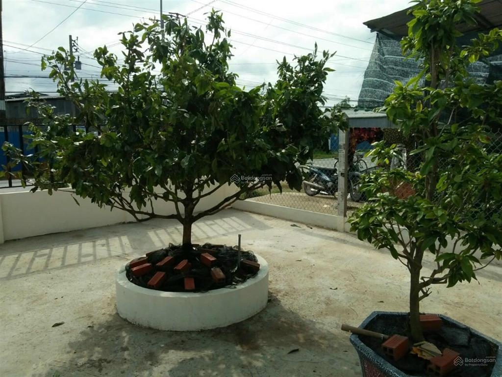 Chính chủ cần bán căn nhà mặt tiền ql57,mỏ cày nam, bến tre, có thổ cư, giá 6,2 tỷ