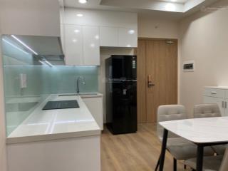 Cho thuê căn hộ viva plaza q7 2pn2wc full nội thất giá 11tr/tháng