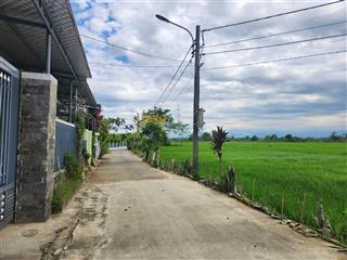 Bán lô 167m2 la bông hòa tiến, hòa vang, đà nẵng đường bê tông 5m, view lúa