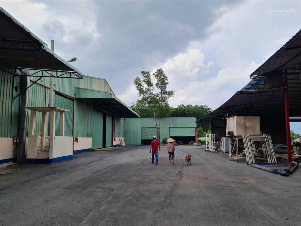 Cần bán xưởng hơn 13000m2, ngang hơn 100m đường nhựa có thu nhập sẵn 400tr/tháng tại bến cát