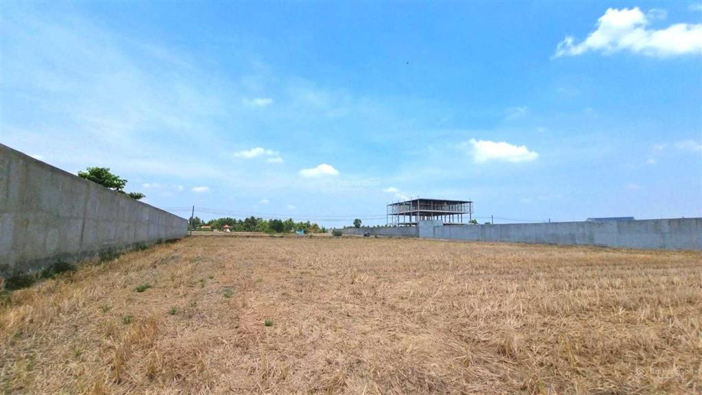 Khu kho xưởng đang phát triển mạnh 4000m2 đất đẹp, nở hậu xe container vào tận nơi