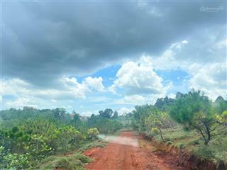 Tôi chính chủ cần bán 9.900m đất view hồ thích hợp nghĩ dưỡng