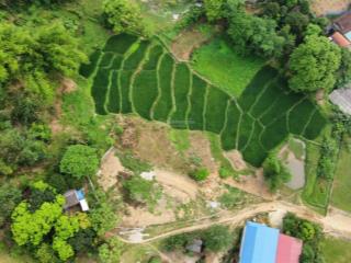 Chính chủ cần bán gấp lô đất view triệu đô ruộng bậc thang tuyệt đẹp tại cao tốc hoà lạc, hoà bình