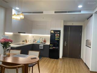 Chính chủ cho thuê chung cư anland lakeview 2pn full đồ không thiếu gì giá 11tr.  0911 460 ***