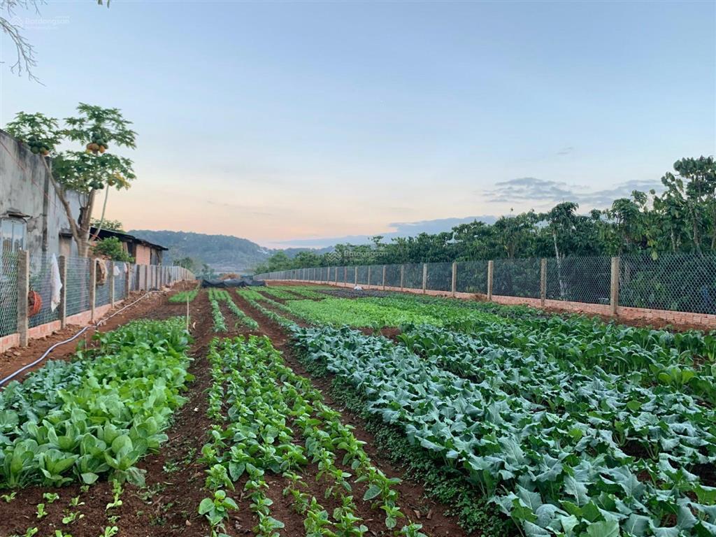 Bán 1,690m2 sẵn 400m thổ cư đất bình thạnh đức trọng, cách ql27 chỉ 400m, đường bê tông