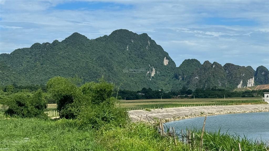 Chính chủ gửi bán 3750m2 đất, view đẹp bám sông bôi hiền hoà