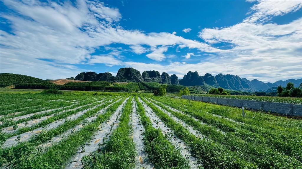 Chính chủ gửi bán 3750m2 đất, view đẹp bám sông bôi hiền hoà