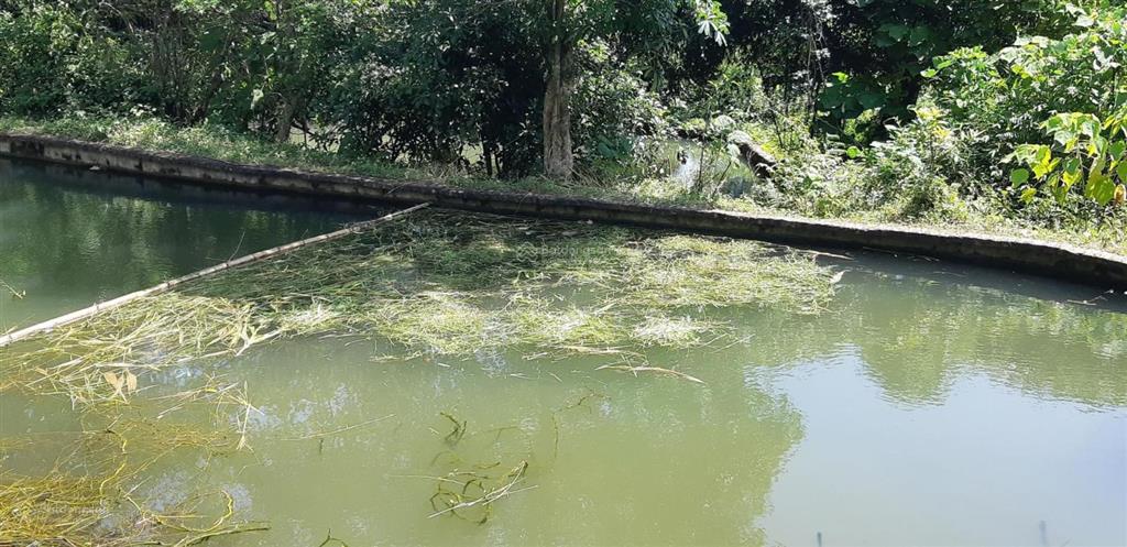 Chuyển nhượng hơn 1,3ha đất thị trấn đà bắc, gần cao tốc hoà bình, mộc châu