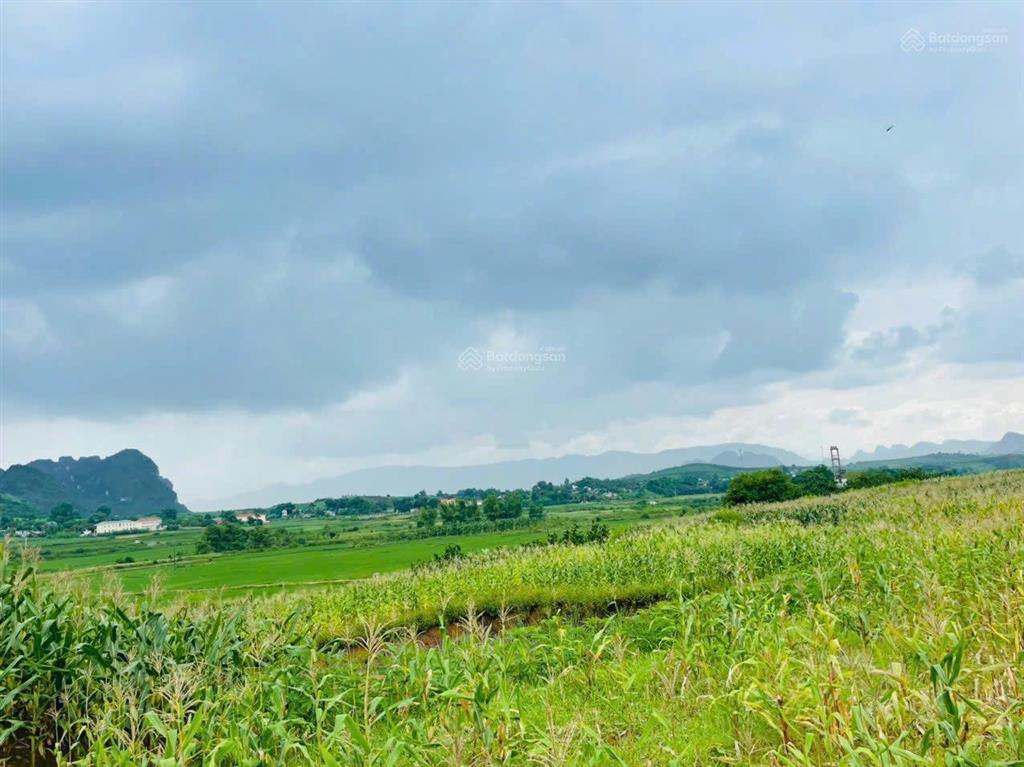 Chính chủ gửi bán lô đất view đẹp tại cao phong, hoà bình