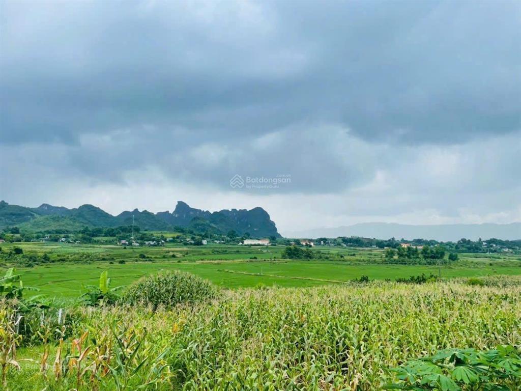 Chính chủ gửi bán lô đất view đẹp tại cao phong, hoà bình
